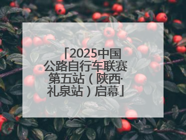 2025中国公路自行车联赛第五站（陕西·礼泉站）启幕