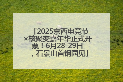 2025京西电竞节×核聚变嘉年华正式开票！6月28-29日，石景山首钢园见