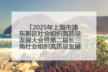 2025年上海市浦东新区社会组织高质量发展大会暨第二届长三角社会组织高质量发展峰会成功举办