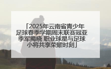 2025年云南省青少年足球春季学期周末联赛冠亚季军揭晓 职业球星与足球小将共享荣耀时刻