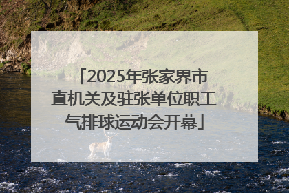 2025年张家界市直机关及驻张单位职工气排球运动会开幕