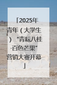 2025年青年（大学生）“青耘八桂·百色芒果”营销大赛开幕