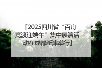 2025四川省“百舟竞渡迎端午”集中展演活动在成都新津举行