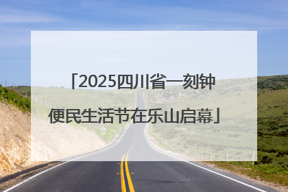 2025四川省一刻钟便民生活节在乐山启幕