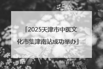 2025天津市中医文化市集津南站成功举办