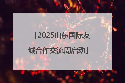2025山东国际友城合作交流周启动