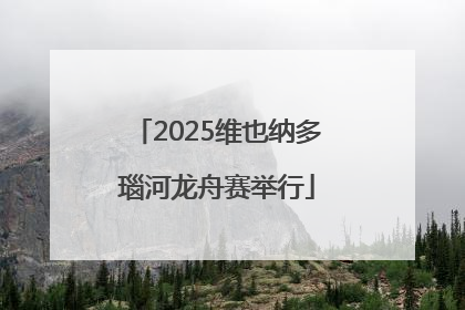 2025维也纳多瑙河龙舟赛举行