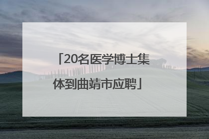 20名医学博士集体到曲靖市应聘