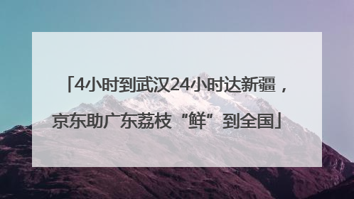 4小时到武汉24小时达新疆，京东助广东荔枝“鲜”到全国