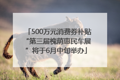 500万元消费券补贴 “第三届槐荫惠民车展”将于6月中旬举办
