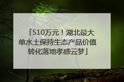 510万元！湖北最大单水土保持生态产品价值转化落地孝感云梦