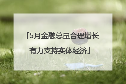 5月金融总量合理增长 有力支持实体经济