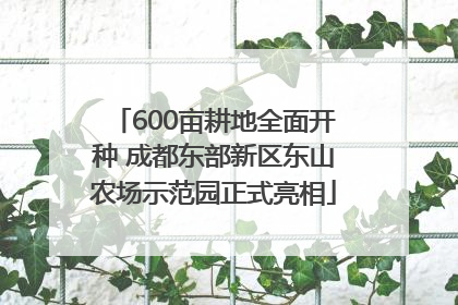 600亩耕地全面开种 成都东部新区东山农场示范园正式亮相