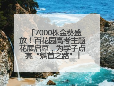 7000株金葵盛放！百花园高考主题花展启幕，为学子点亮“魁首之路”