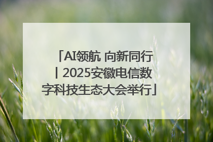 AI领航 向新同行丨2025安徽电信数字科技生态大会举行