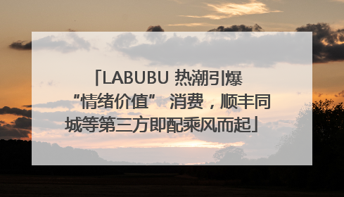 LABUBU 热潮引爆 “情绪价值” 消费，顺丰同城等第三方即配乘风而起